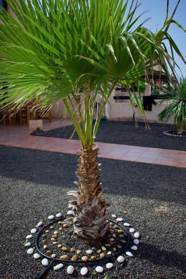 The Wind'S Breath, Perfect For Relaxing Getaway Villa La Oliva Bagian luar foto